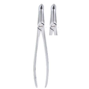 Very Fine Lower root