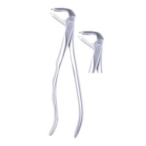 Forcep incisors canines & lower premolar