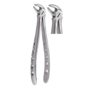 Lower incisors & Canines