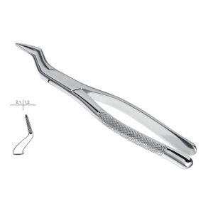 Extraction Forceps American Pattern
